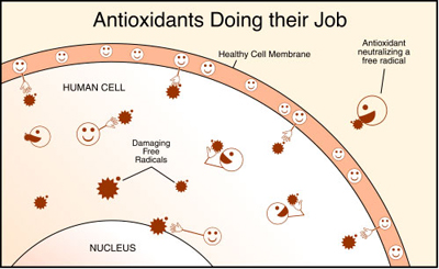antioxidants_1