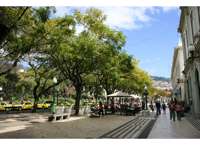 Madeira kuvia_IMG_4781